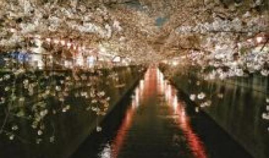 field_image