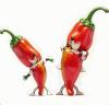 Profile picture for user anita0622