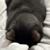 Profile picture for user joycearbil_259712