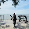 Profile picture for user joycearbil_259712