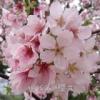 user_picture
