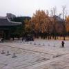 user_picture