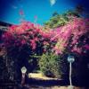 user_picture