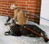 user_picture