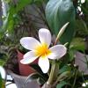 user_picture