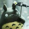 user_picture