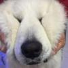 user_picture