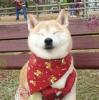 user_picture