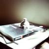 user_picture