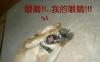 user_picture