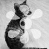 user_picture