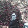 user_picture