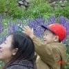 user_picture