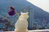 user_picture