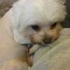 user_picture